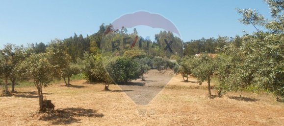 3 Schlafzimmer Haus in Abrantes, Portugal, Nr. 26315 4