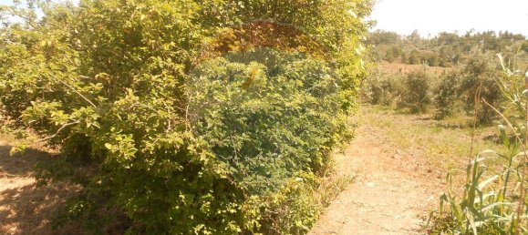 3 Schlafzimmer Haus in Abrantes, Portugal, Nr. 26315 10