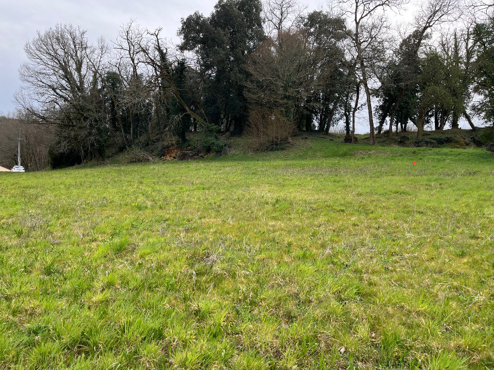 Terrain à Carlux, France No. 100283