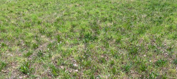 Terrain à Carlux, France No. 100283 4