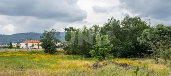 Grundstück in Fundao, Portugal 33493m², Nr. 76978 3