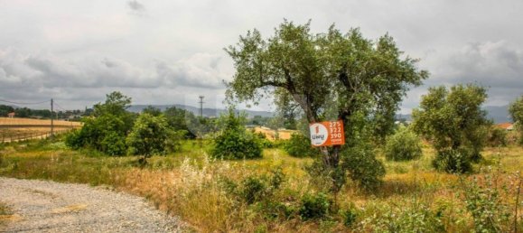 Grundstück in Fundao, Portugal 33493m², Nr. 76978 9