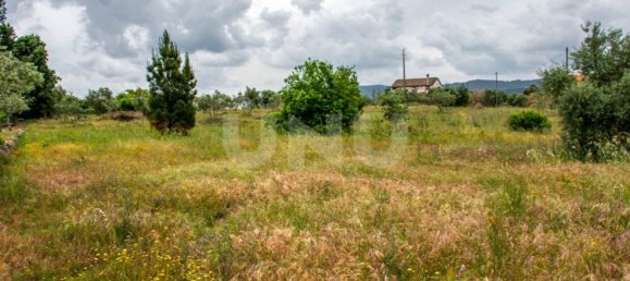 Grundstück in Fundao, Portugal 33493m², Nr. 76978 6