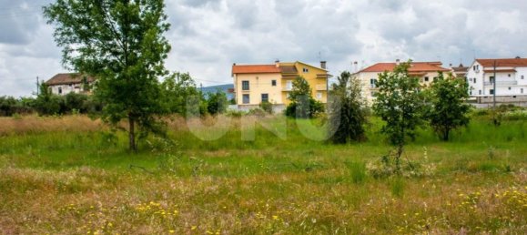 Grundstück in Fundao, Portugal 33493m², Nr. 76978 5