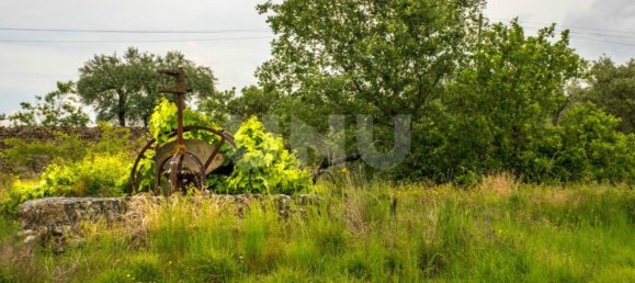Grundstück in Fundao, Portugal 33493m², Nr. 76978 8