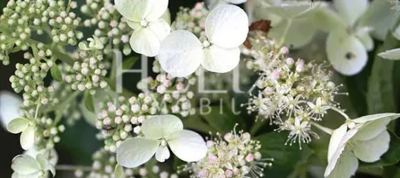 2 bedrooms Apartment in Saint-Germain-en-Laye, France No. 323552 15