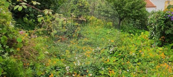 Casa de 9 dormitorios en Cascais, Portugal No. 49654 5