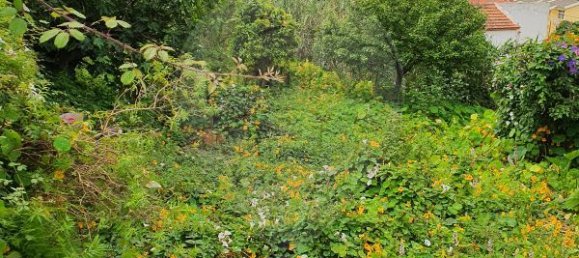 Casa de 9 dormitorios en Cascais, Portugal No. 49654 3