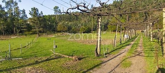  قطعة أرض في Vila Nova de Famalicao, Portugal 11554متر مربع رقم 38967 8