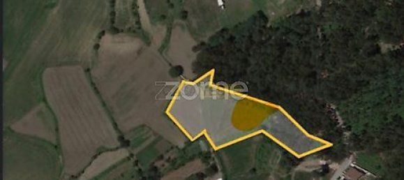  قطعة أرض في Vila Nova de Famalicao, Portugal 11554متر مربع رقم 38967 4