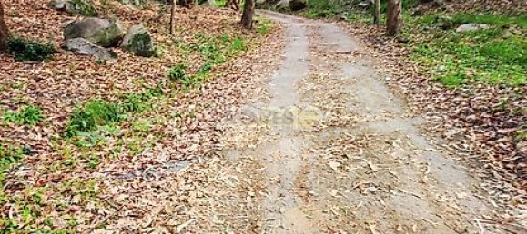  قطعة أرض في Vila Nova de Famalicao, Portugal 11554متر مربع رقم 38967 9