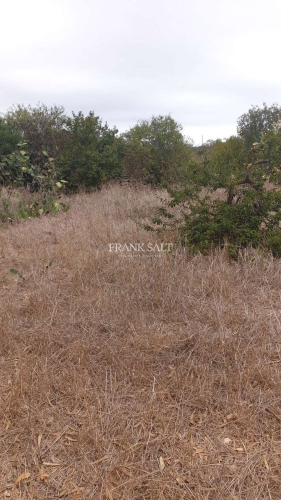 Terrain à Xaghra, Malta 1400m² No. 13321