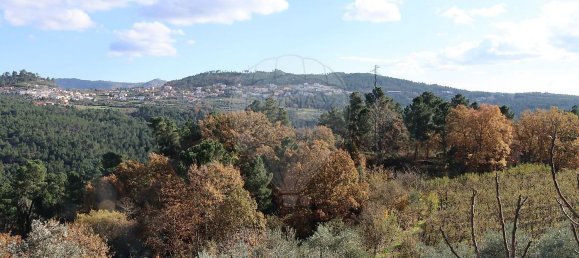 2 bedrooms House in Sao Cosmado, Portugal No. 170232 10