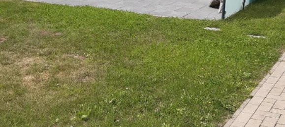 1 bedroom Apartment in Vorpommern-Greifswald, Germany No. 336929 3