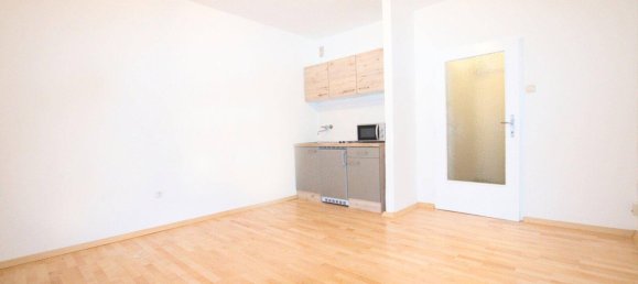 Studio in Linz, Austria No. 151333 3