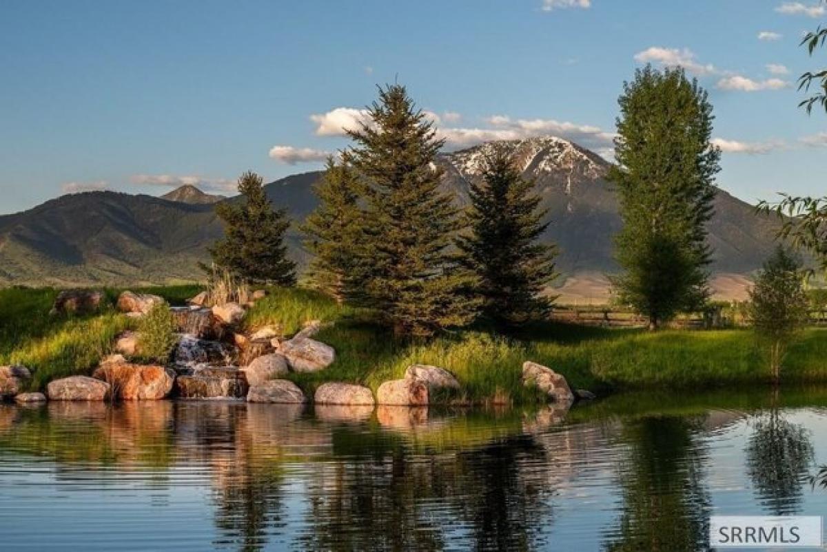 Земельный участок в Суон Вэлли, США № 474436