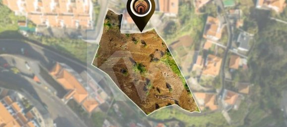 4520m² Land in Funchal, Portugal No. 72283 3