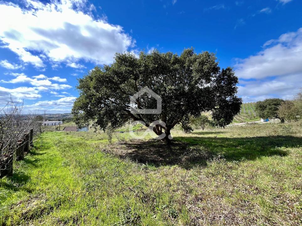 10000m² Land in Bombarral, Portugal No. 276873