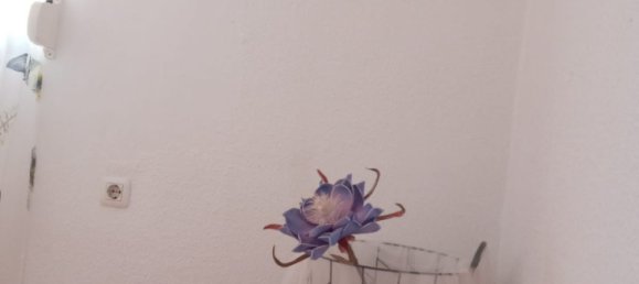 2 bedrooms Apartment in Cadiz, Spain No. 171857 18