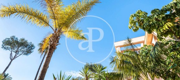 2 bedrooms Apartment in Mallorca, Spain No. 81003 20