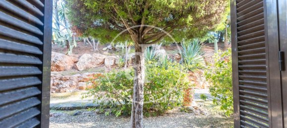 2 bedrooms Apartment in Mallorca, Spain No. 81003 42