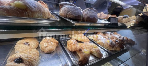 5 rooms Commercial property in Florence, Italy No. 39129 13