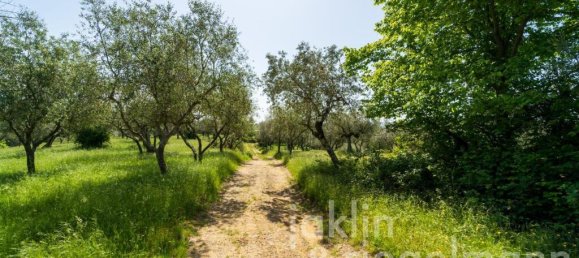 6 bedrooms House in Figline e Incisa Valdarno, Italy No. 188727 36