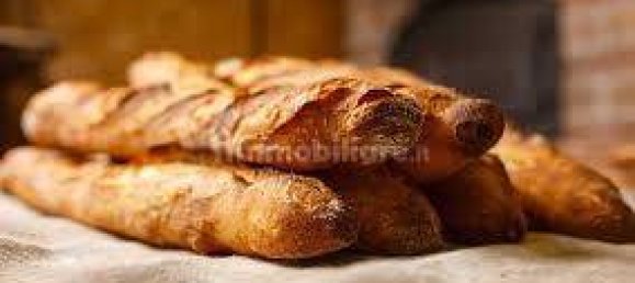 2 rooms Commercial property in Borgio Verezzi, Italy No. 189166 3