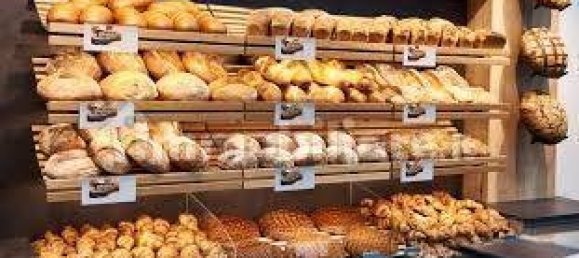 2 rooms Commercial property in Borgio Verezzi, Italy No. 189166 6