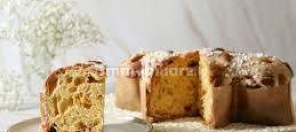 2 rooms Commercial property in Borgio Verezzi, Italy No. 189166 49