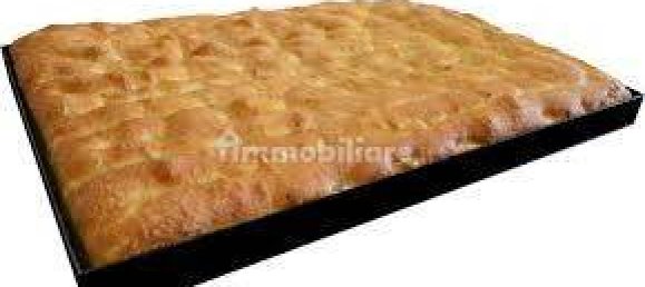 2 rooms Commercial property in Borgio Verezzi, Italy No. 189166 15