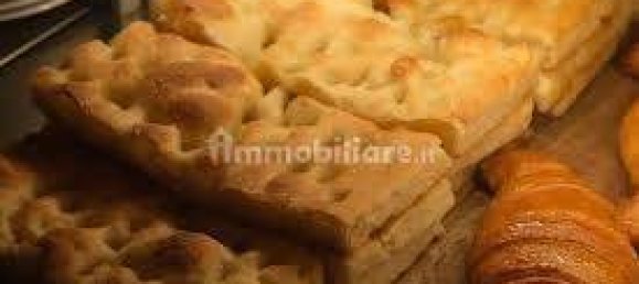 2 rooms Commercial property in Borgio Verezzi, Italy No. 189166 9