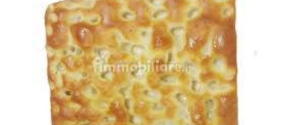 2 rooms Commercial property in Borgio Verezzi, Italy No. 189166 50