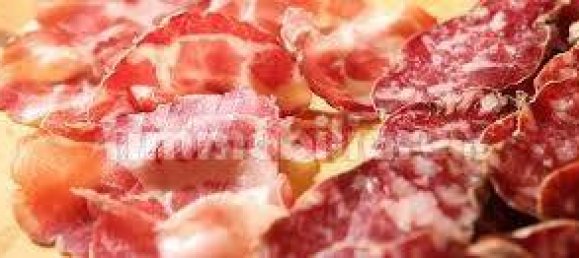 2 rooms Commercial property in Borgio Verezzi, Italy No. 189166 5