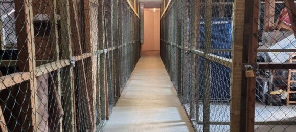 2-Zimmer Wohnung in Kiel, Germany, Nr. 238367 18