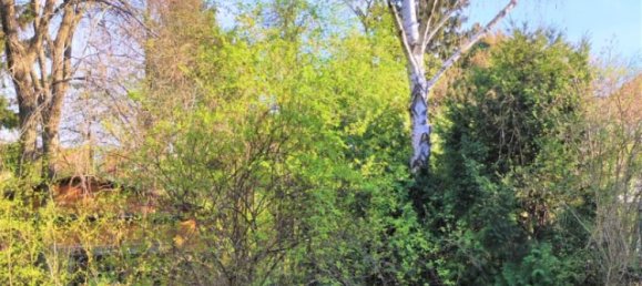 Gebäude in Korneuburg, Austria 390m², Nr. 254573 8