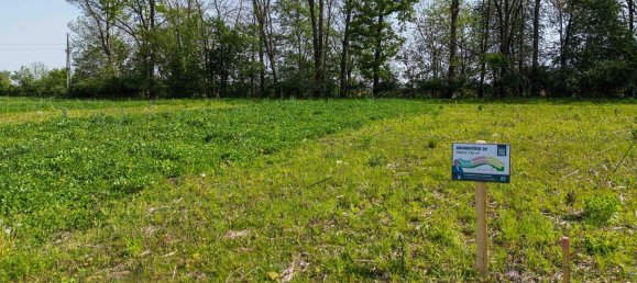  Land in Altheim, Austria No. 90228 2