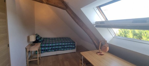 5 chambres Villa à La Chapelle-Saint-Mesmin, France No. 263909 33