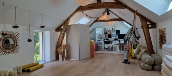 5 chambres Villa à La Chapelle-Saint-Mesmin, France No. 263909 34