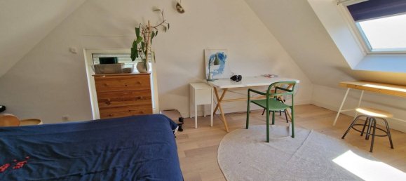 5 chambres Villa à La Chapelle-Saint-Mesmin, France No. 263909 27