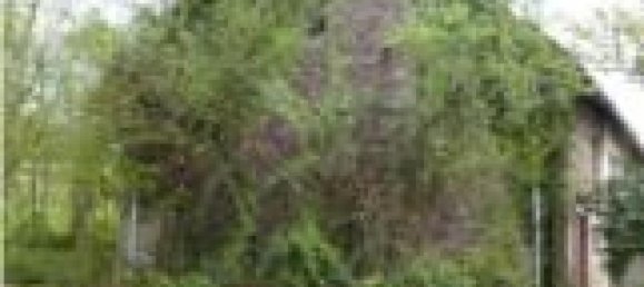 3 bedrooms House in Lapalisse, France No. 16980 12