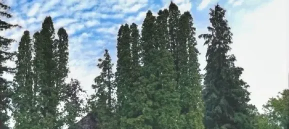 75m² Land in Freising, Germany No. 248522 17