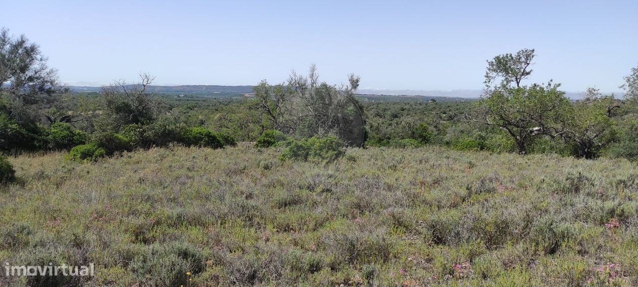 18400m² Land in Sao Bartolomeu de Messines, Portugal No. 274145