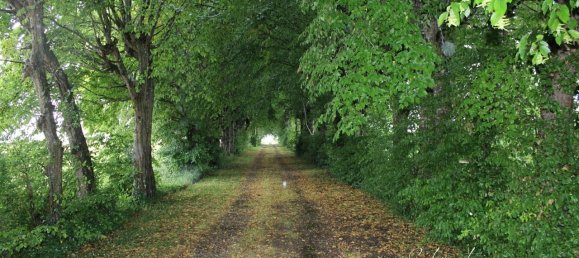  Land in Saint-Genis-de-Saintonge, France No. 232352 3