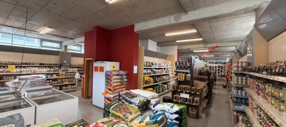 Propriété commerciale à Furstenfeldbruck, Germany 500m² No. 363079 4