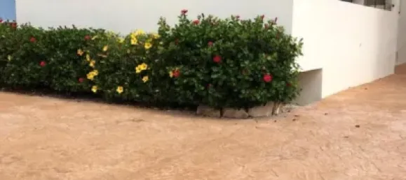 3 bedrooms Apartment in Almerimar, Spain No. 132812 17