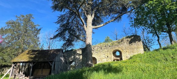 11 bedrooms Castles in Le Chatelet, France No. 82025 30