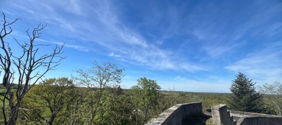 11 bedrooms Castles in Le Chatelet, France No. 82025 36