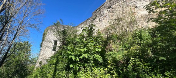 11 bedrooms Castles in Le Chatelet, France No. 82025 12