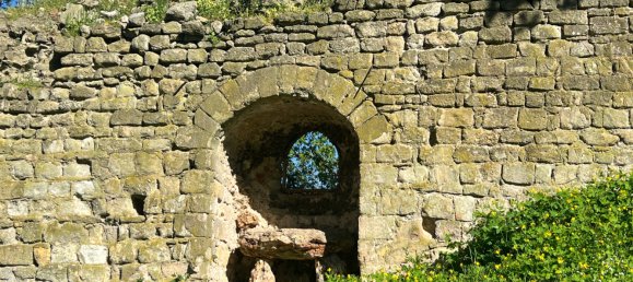 11 bedrooms Castles in Le Chatelet, France No. 82025 25